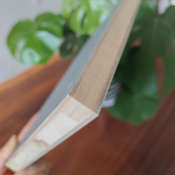 杨木生态板价格